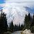 Marsha Stier McDaniel's profile image