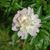 Kimberly Powers Yates's profile image