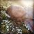 Anne Duffley's profile image