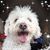 Cary Retzlaff's profile image