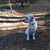 Joy Pupel's profile image