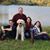 Tony Malloy's profile image