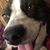 Kim Hollinger's profile image