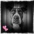 Nicholas Em's profile image