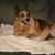 Jennifer Newall's profile image