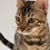 Rachel Seemann's profile image