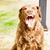 Michele Legrow's profile image