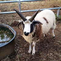 Wendy Karsten's profile image