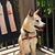 Carol Ann Pinard's profile image