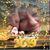Debra Mercer's profile image