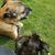 Colleen Oakes Hoover's profile image