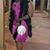 Angela Wigley Ariel's profile image