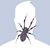 Jimmy Tran's profile image