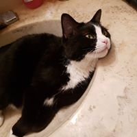 Sheri Kali Reed's profile image