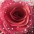 Cassidy Millard Konan's profile image