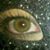 Brandi Falbo Thies's profile image