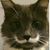 Steve Conway's profile image