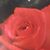 Dawn Latham's profile image