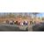 Judith Ann Wallace's profile image
