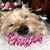 Kathy Kivett Rary's profile image