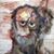 Saul Balagura's profile image