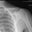 Eric Hodel's profile image