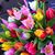 Jackie Horine's profile image