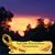 Dawn VanAuken's profile image