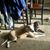 Connie Gildner's profile image