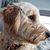 Heather Roberts's profile image