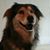 Bonnie Gaynor's profile image