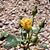 Heather Zortman Coonce's profile image