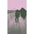 R. Tawil's profile image