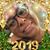 Beth Samuel's profile image