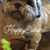 Vanessa Chavez Holcomb's profile image