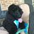 Joanne Boyle Milkie's profile image