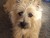 L K.'s profile image