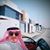 أحمد زهير زقزوق's profile image