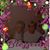 Christopher Wyrick's profile image