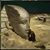 Erich de Villiers's profile image