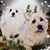 Kathy O'Rourke's profile image