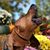 Guidry Boyce's profile image