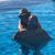 Jenny Smith's profile image