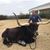 John R. Wheeler's profile image