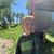 Danlee Mack's profile image