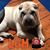 Kuby McCarty's profile image