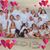 Doreen Uhlick's profile image