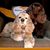 Lisa Streit's profile image