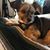 Shelley Sciulli's profile image