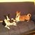Nidia Santana's profile image